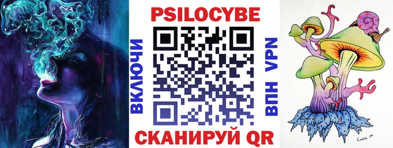 продажа наркотиков Багратионовск Псилоцибиновые грибы MAGIC MUSHROOMS